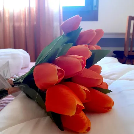 Casa Andrea 公寓 梅斯特雷